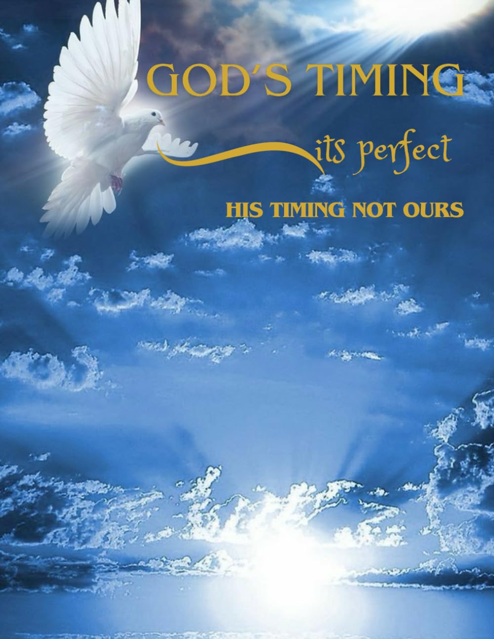 

God's Timing its perfect: His timing not ours (Independently published)