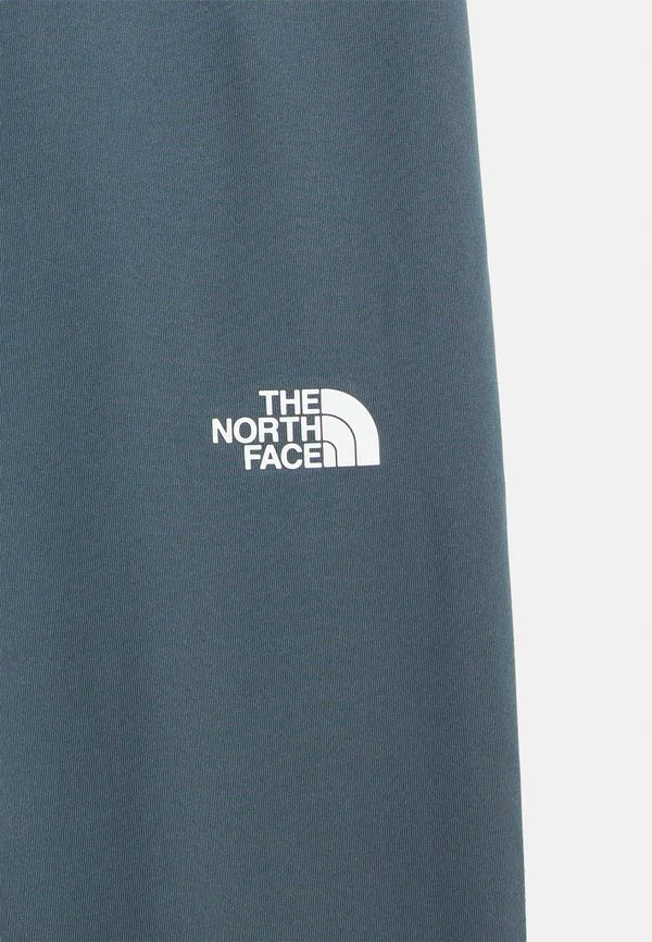 Леггинсы и брюки унисекс flex The North Face, Granite Grey — фото 4