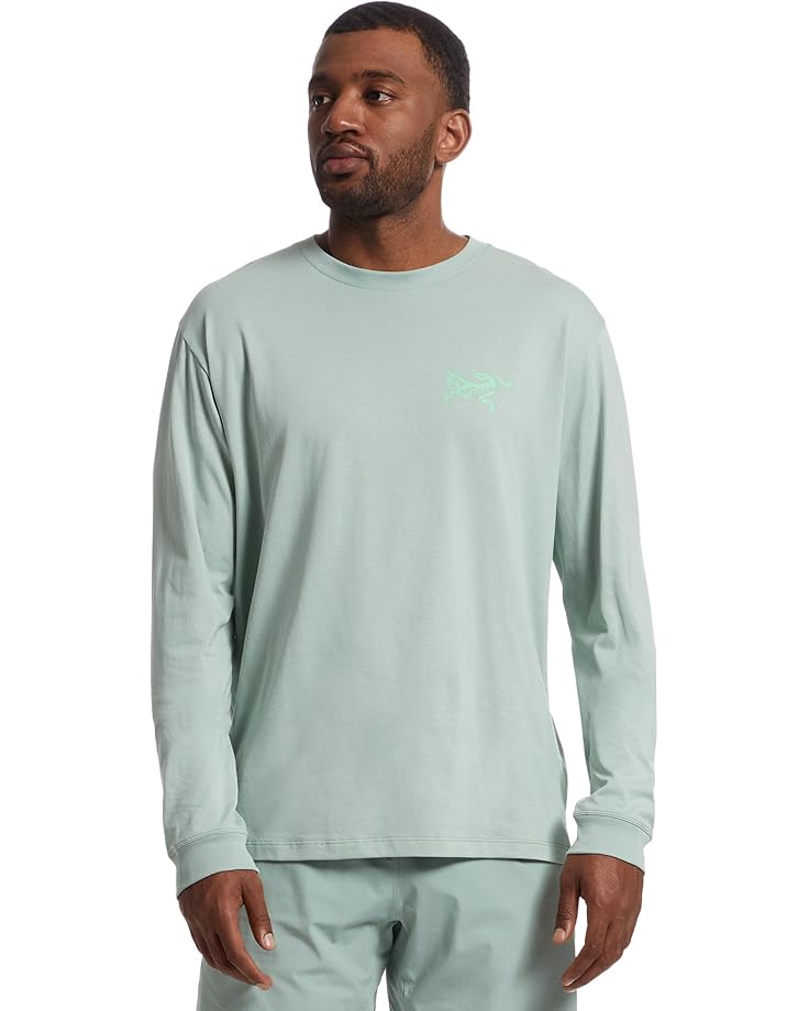 

Лонгслив Arc'teryx Kragg SL Cotton Bird Tile Long, цвет Stone Green/Phosphorescent