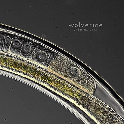 

CD диск Wolverine: Machina Viva