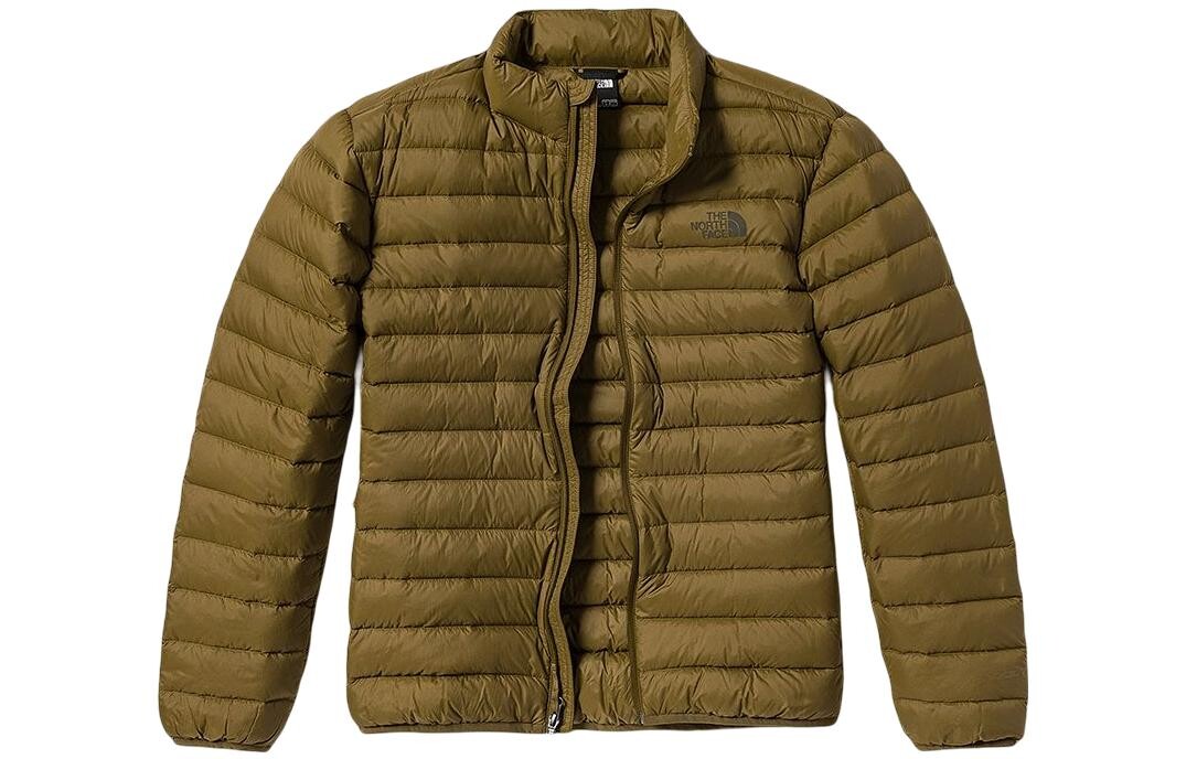 

Пуховик мужской зеленый The North Face, зеленый