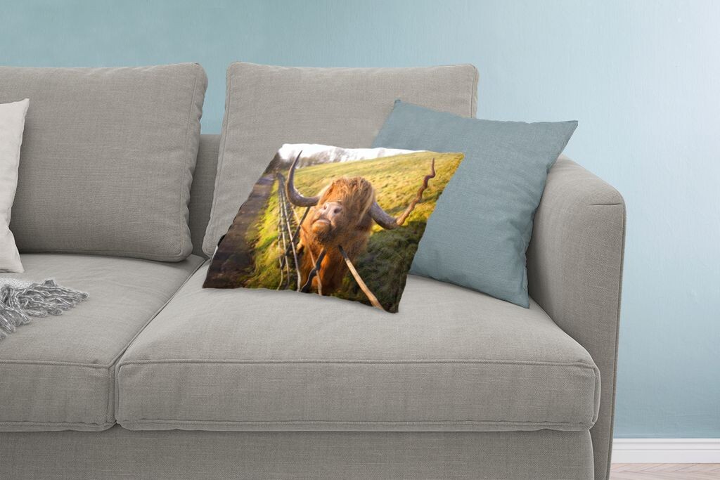 

MuchoWow Scottish Highlanders - Горный скот через забор в парке Хитон - 60x40 см - чехлы для подушек - декоративные чехлы для подушек - декоративные чехлы для подушек