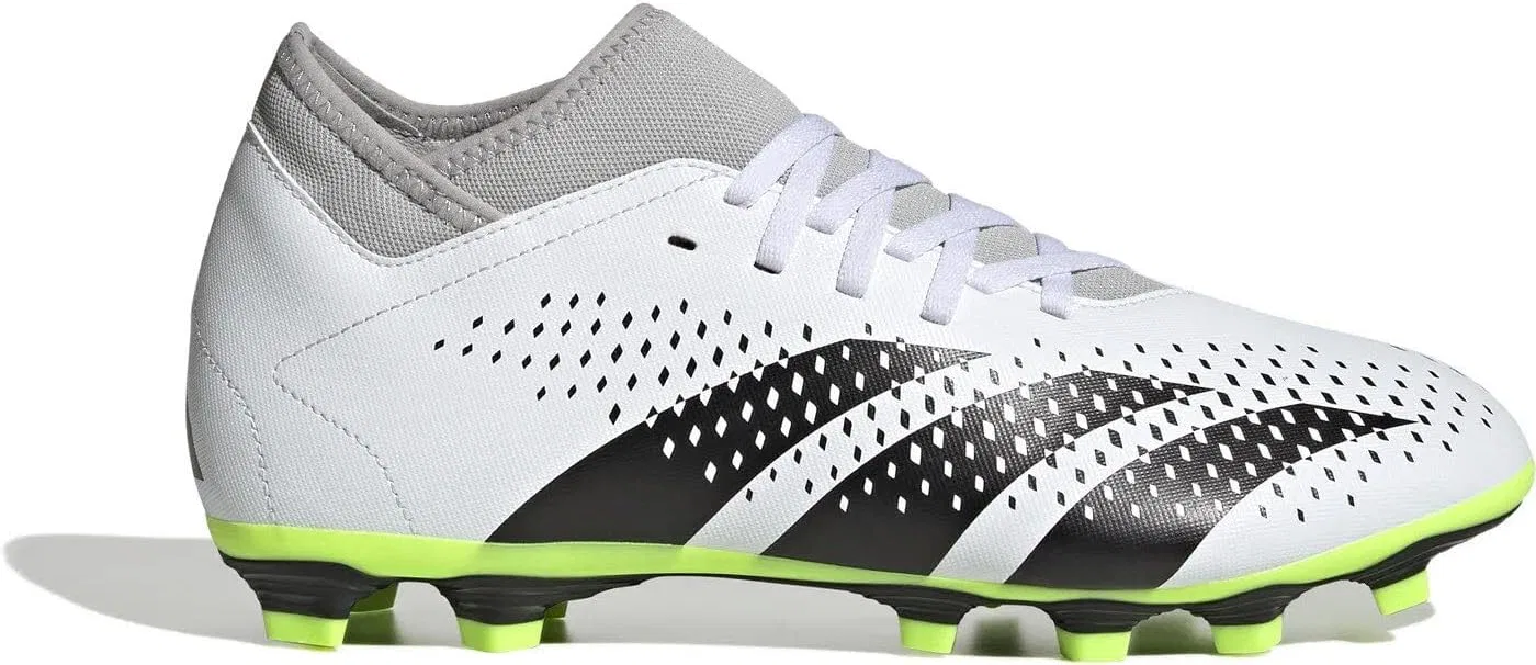 Мужские кроссовки Adidas Predator Accuracy.4 S Fxg