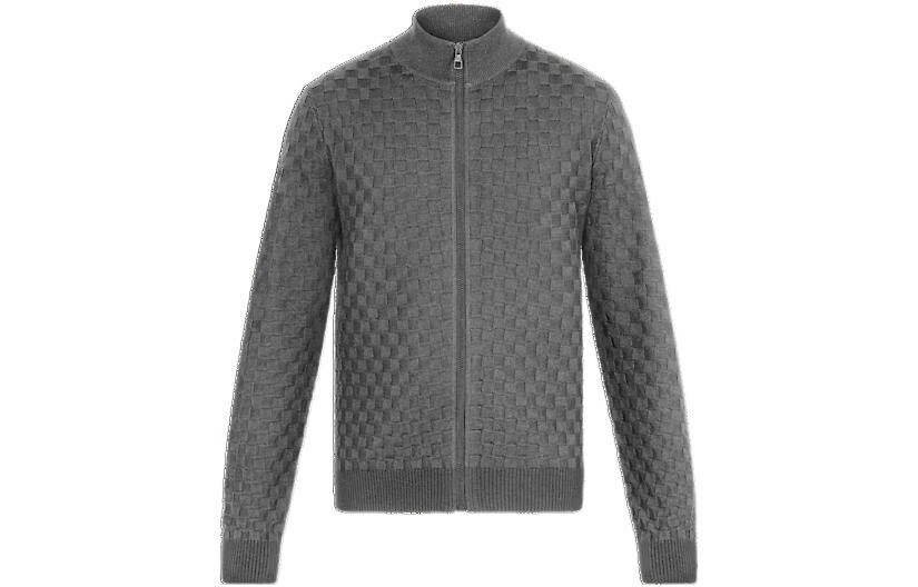 

Куртка Alpha Damier для мужчин Louis Vuitton, серый