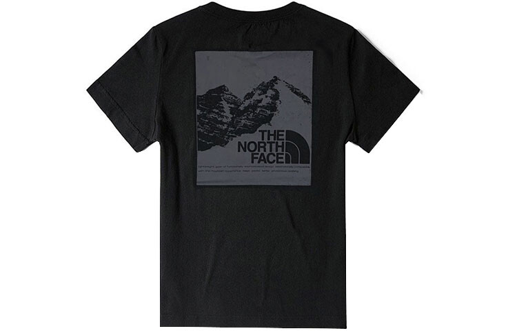 

THE NORTH FACE Мужская футболка, цвет Black
