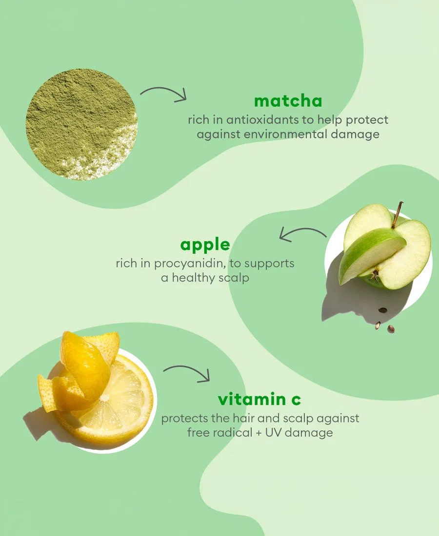 Набор из 2 средств: шампунь и кондиционер Superfoods Matcha, Apple + Kale Briogeo — фото 4
