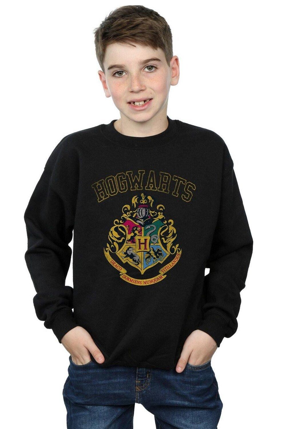 

Толстовка с гербом в университетском стиле Harry Potter, черный