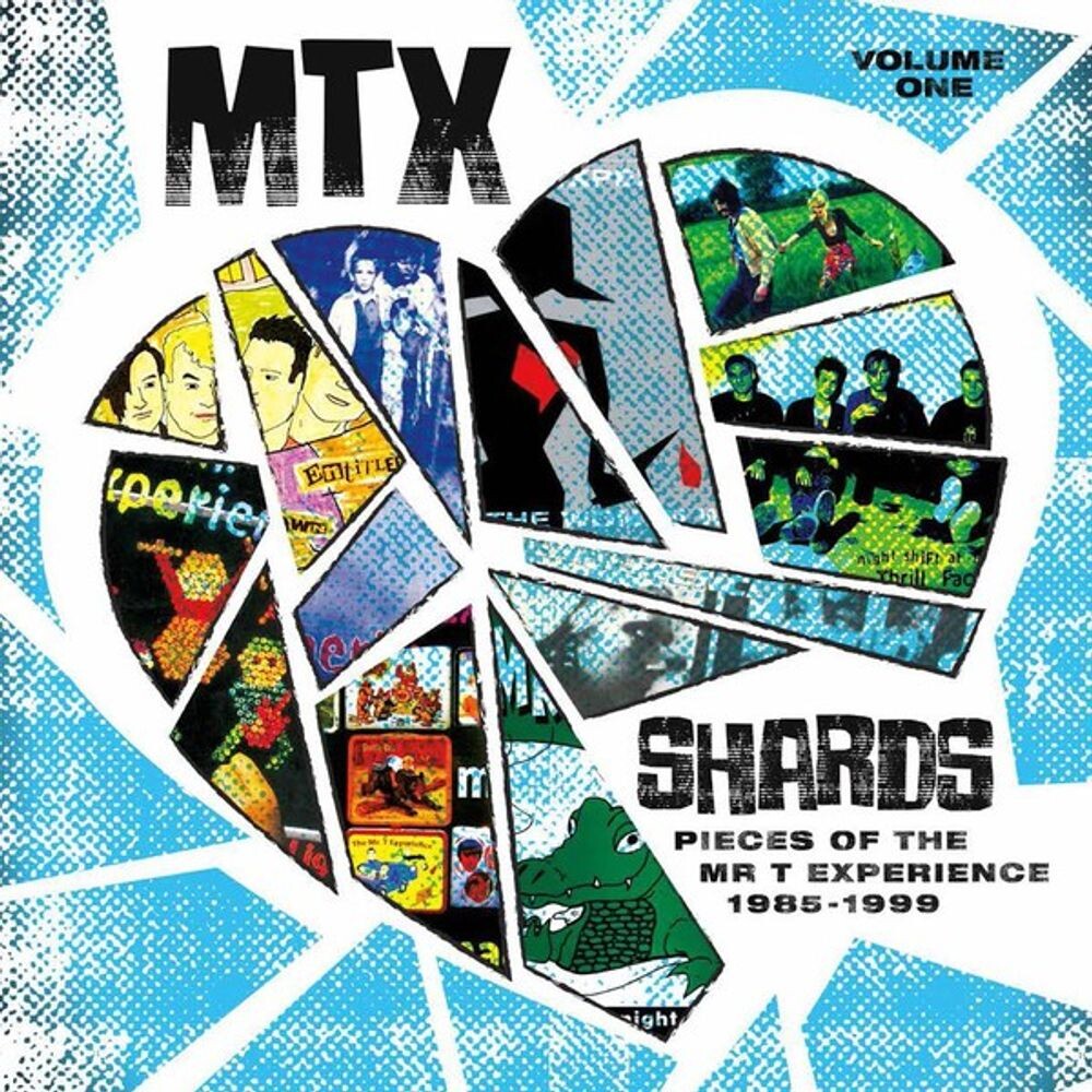 

Виниловая пластинка LP Shards Vol. 1 - The Mr. T Experience
