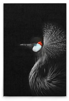 

Картина на холсте A.S. Création Crowned Crane цвет schwarzweissrot