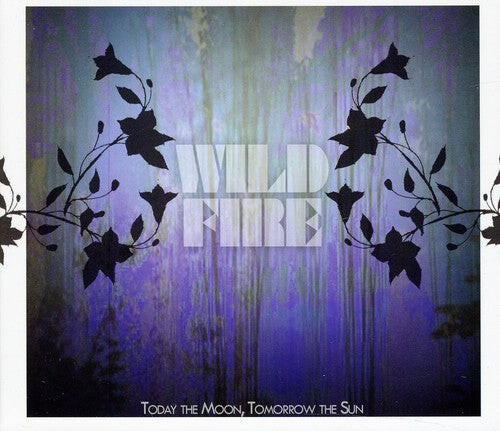 

CD диск Today the Moon Tomorrow the Sun: Wildfire