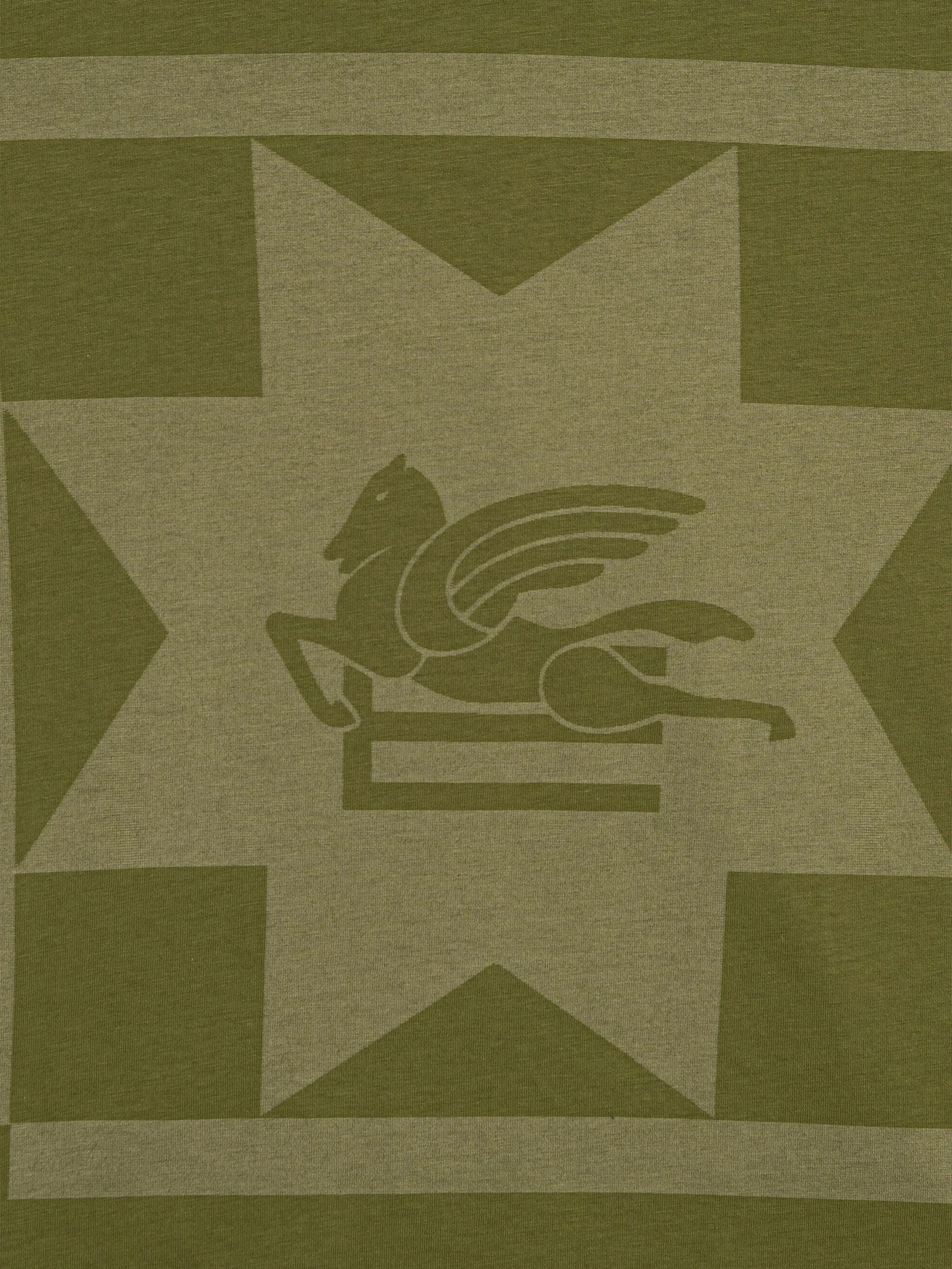 

Футболка с логотипом Etro Kids, зеленый