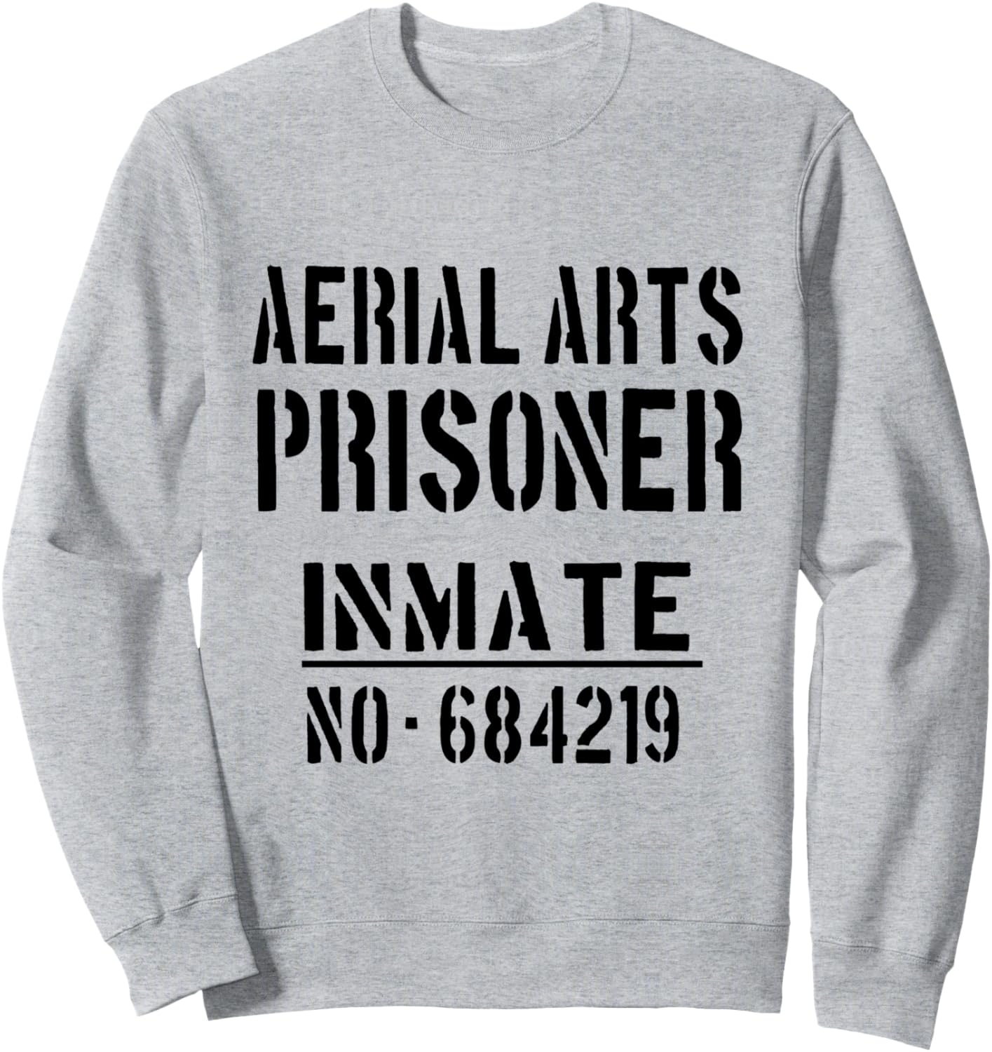 

Хобби аэрофотосъемки / Толстовка с изображением ленивого тюремного заключенного на Хэллоуин Aerialists / Aerial Art Teachers / Circus Artist, серый