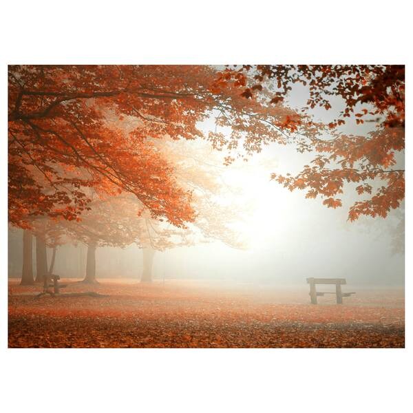 

Картина на холсте A.S. Création Forest At Rest цвет braun/orange