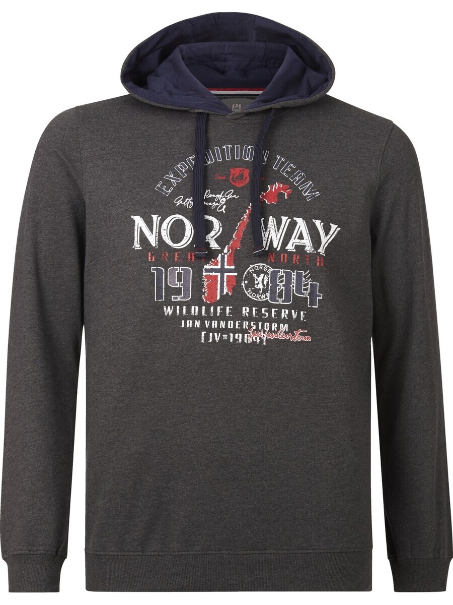 

Толстовка с капюшоном Jan Vanderstorm Sweatshirt Hinricus, темно-серый