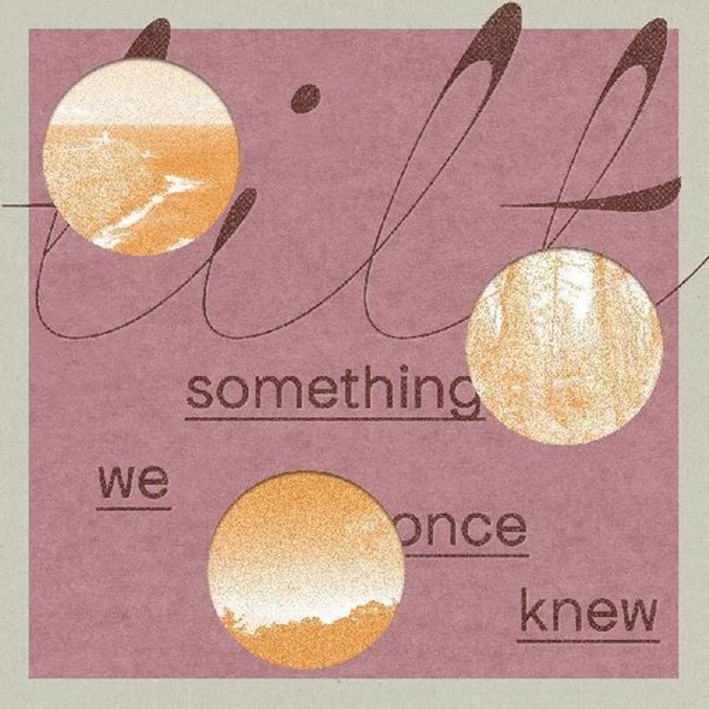 

Виниловая пластинка LP Something We Once Knew - Tilt