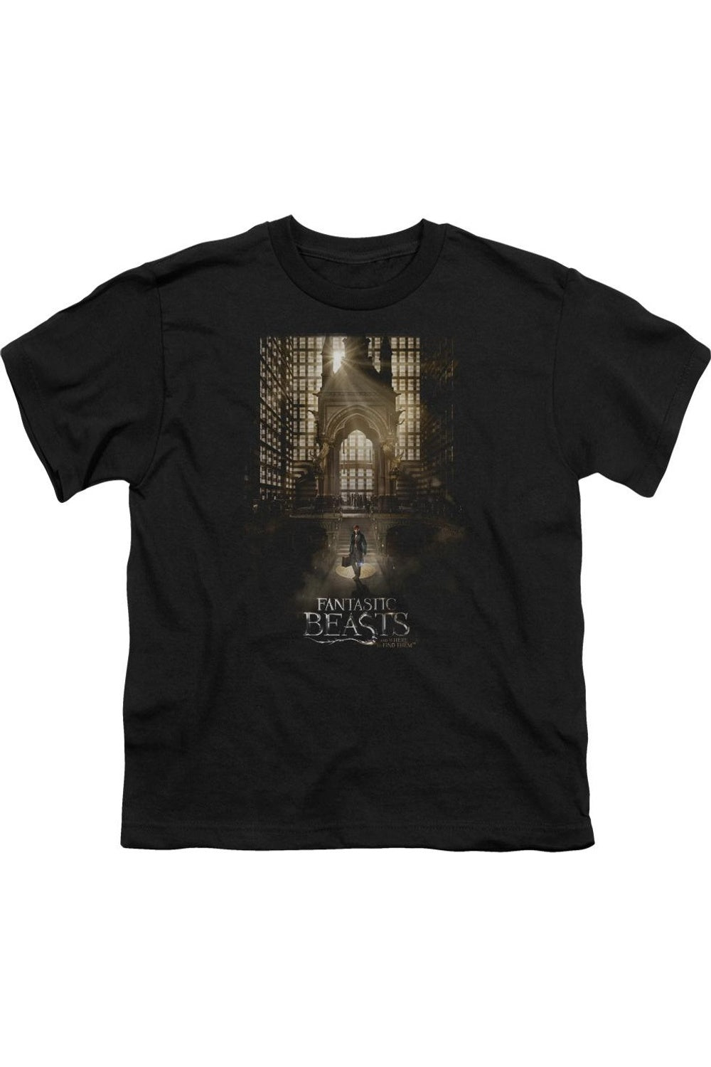 

Футболка с коротким рукавом для детей с принтом "Фантастические твари" Gildan, черный