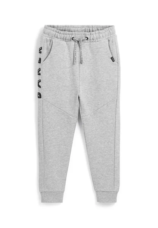 Спортивные штаны Baker By Ted Baker, Grey
