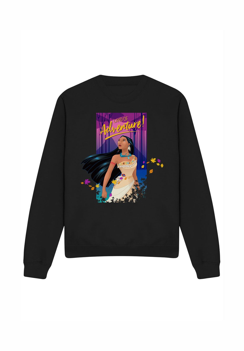 

Толстовка POCAHONTAS LAND OF ADVENTURE Disney, черный