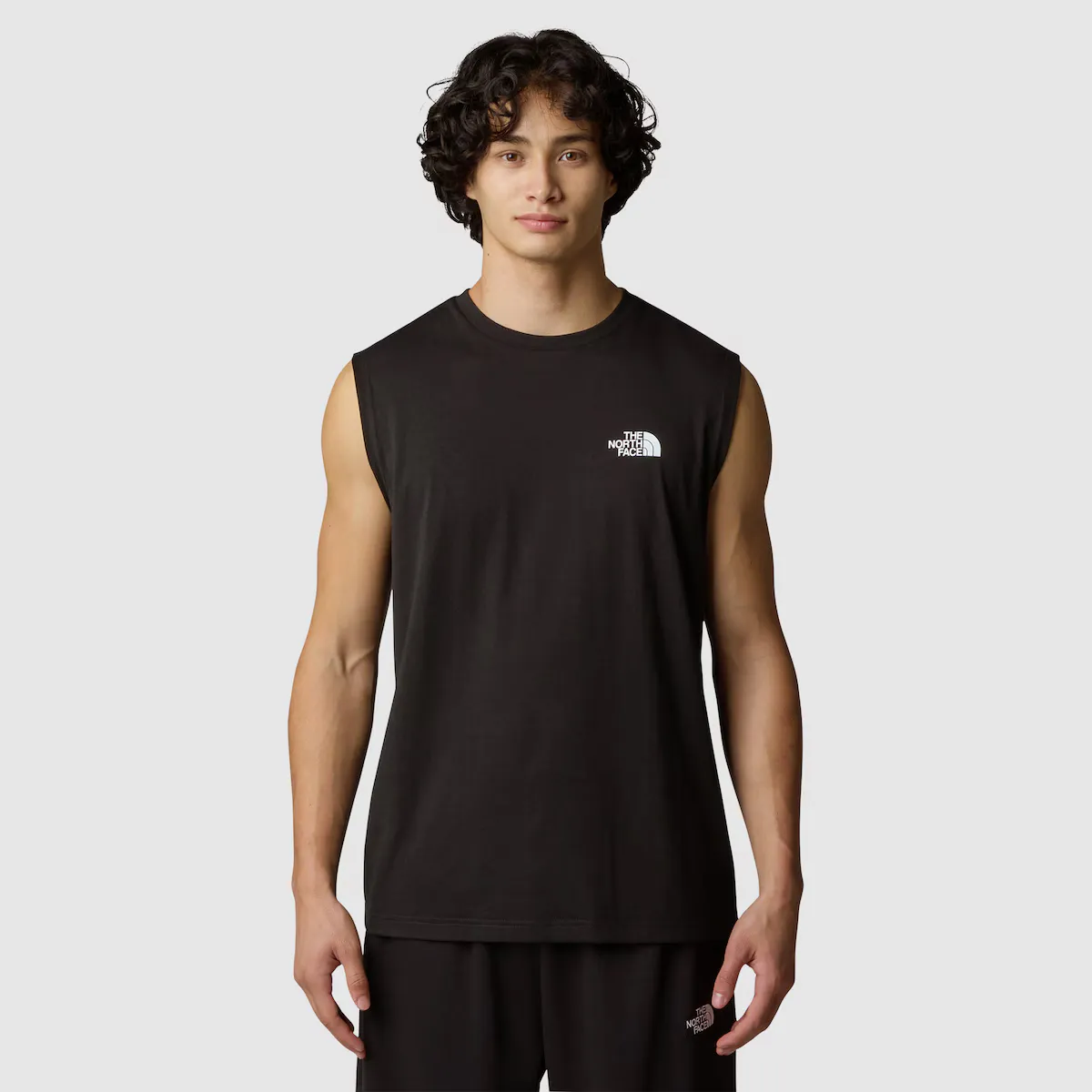 

Мужская футболка Simple Dome The North Face, чёрный