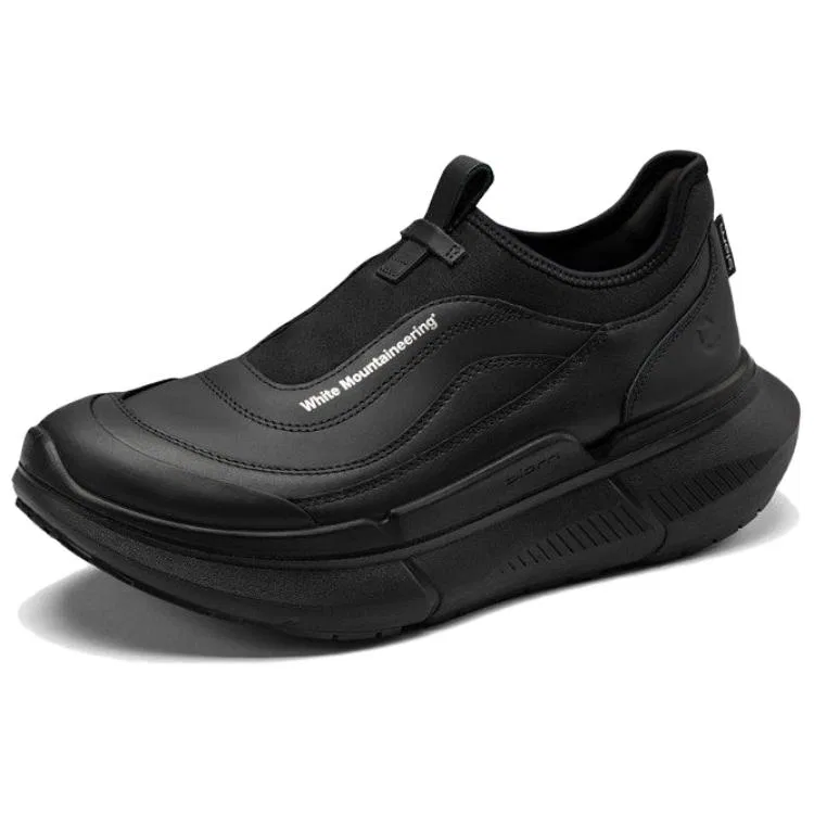 Кроссовки BIOM 2.2 MAX Low Ecco Black
