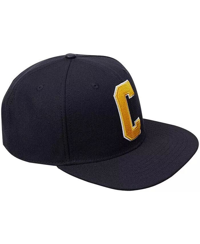 

Мужская черная кепка с логотипом Coppin State Eagles Evergreen Snapback Pro Standard, черный