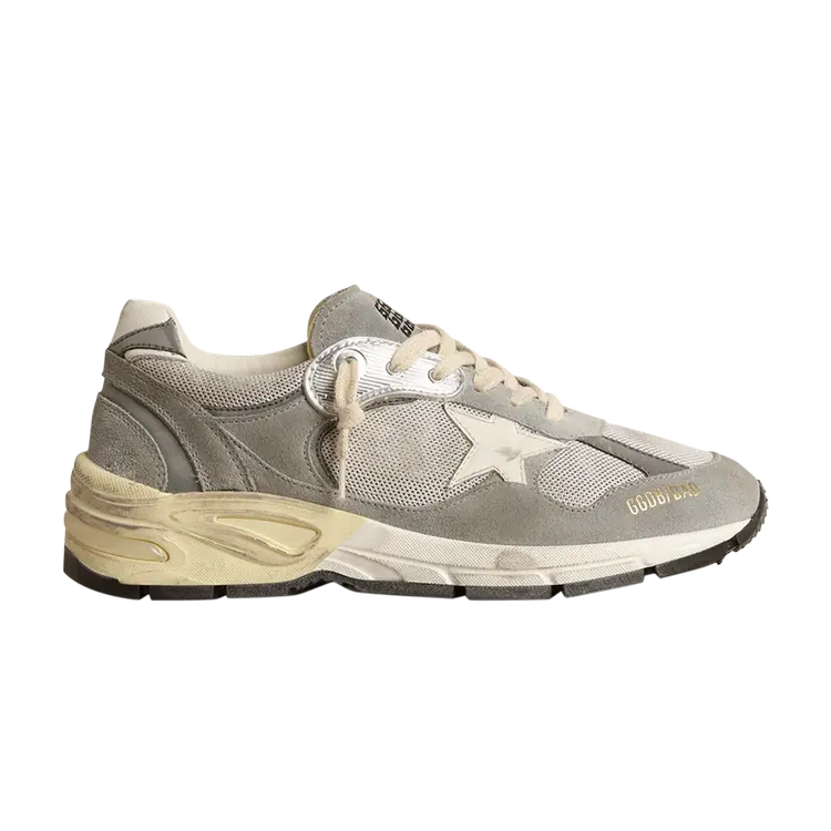 Кроссовки Golden Goose Wmns Dad-Star, серый