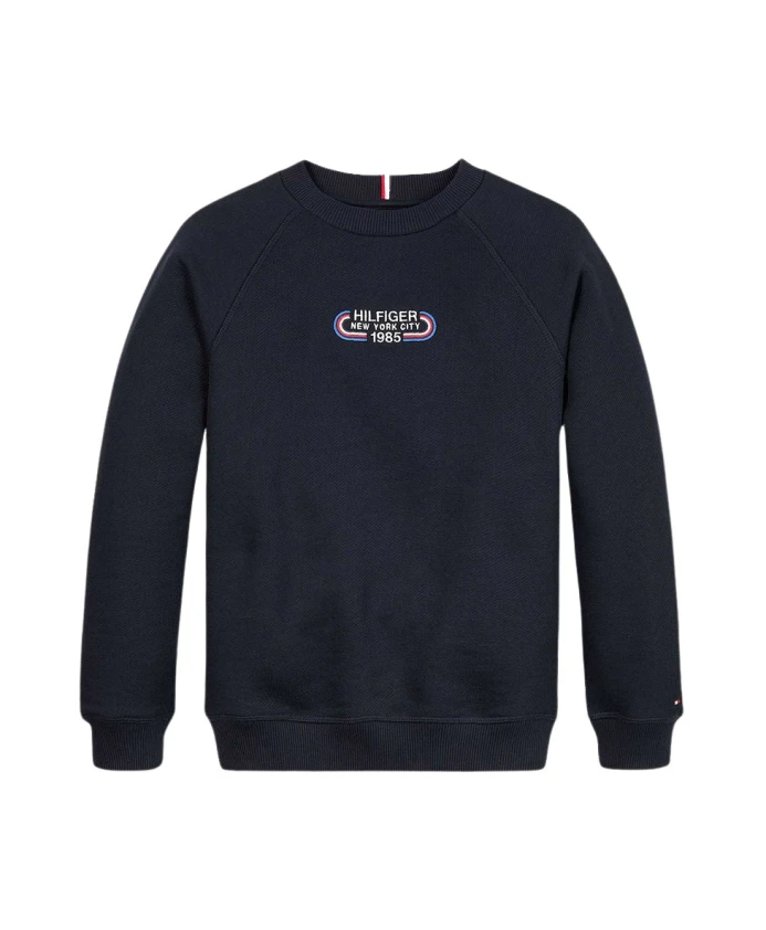 

Толстовка с вышитым рисунком 1985 год Нью Йорк Tommy Hilfiger, синий