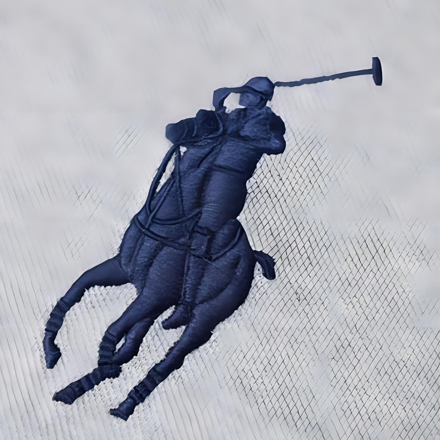 Футболка поло женская серая Polo Ralph Lauren — фото 4