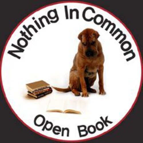 

CD диск Nothing in Common: Open Book