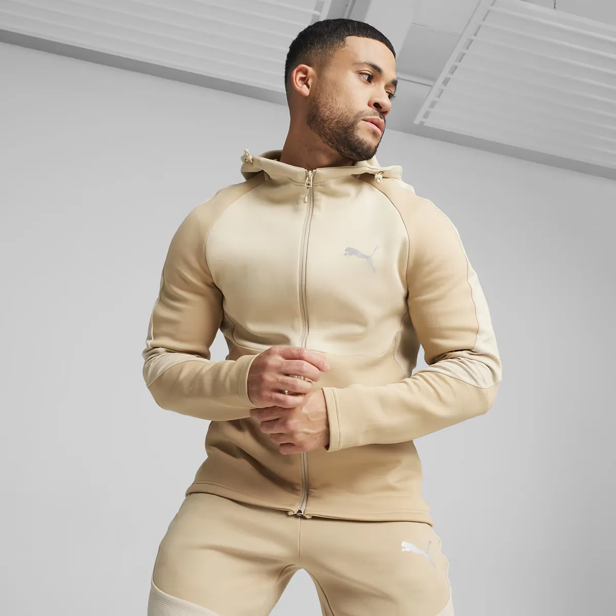 

Мужская толстовка с капюшоном Puma Evostripe Full-Zip DK, коричневый