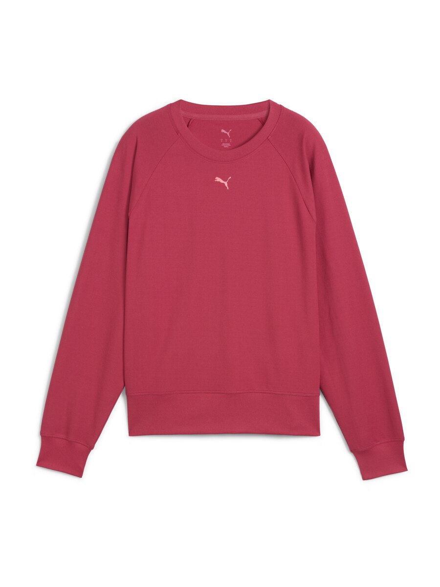 

Спортивная толстовка PUMA CLOUDSPUN, цвет Berry