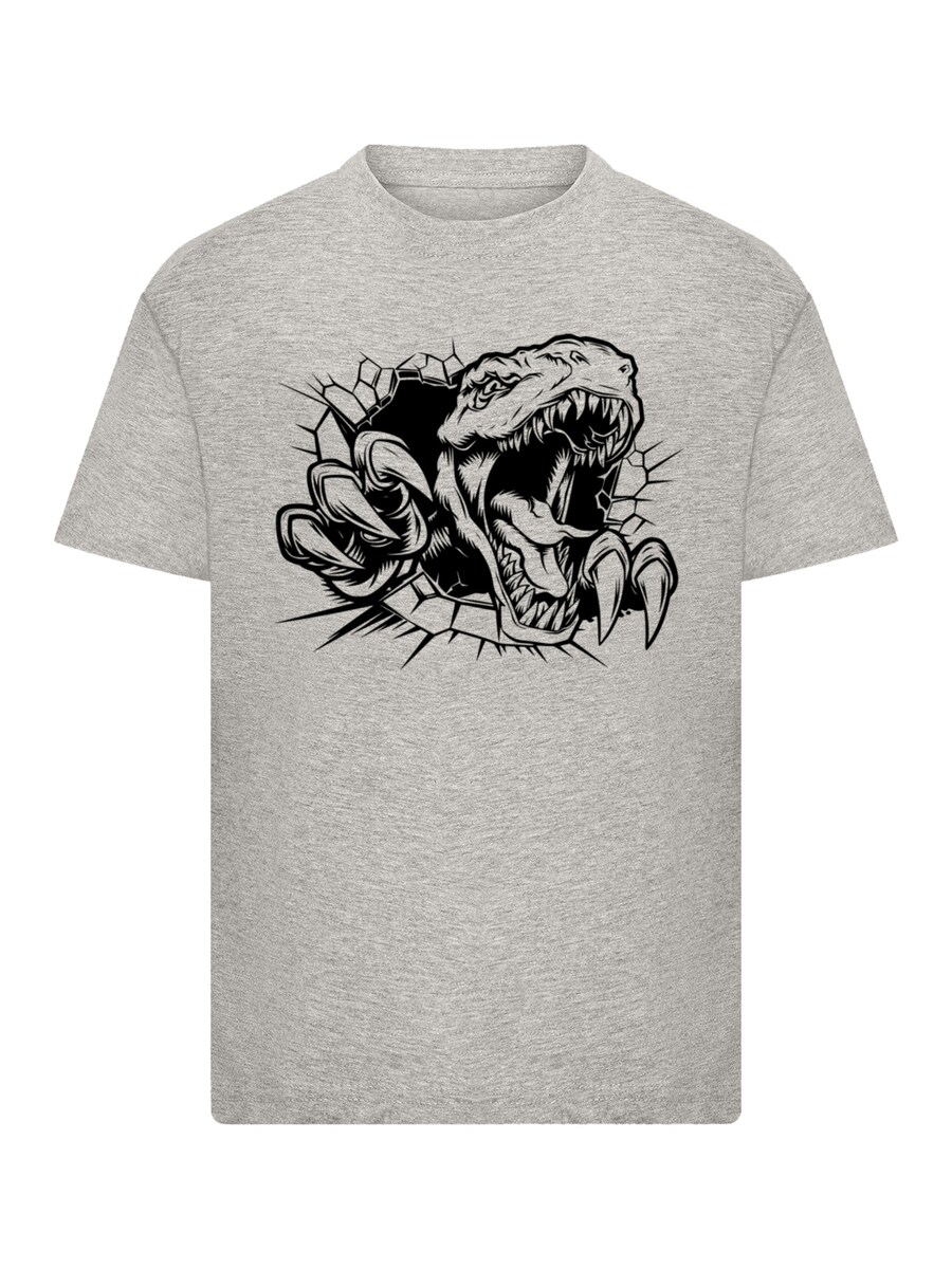 

Рубашка F4NT4STIC T Rex Burst Adventure, серый