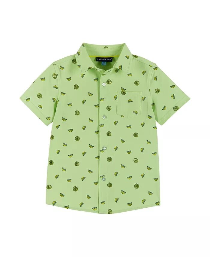 

Рубашка на пуговицах с короткими рукавами и принтом черепах для мальчиков и малышей (для малышей) Andy & Evan, зеленый