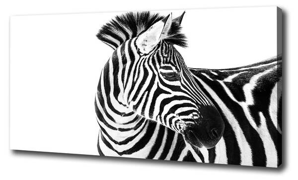 

Фреска Tulup Zebra im Schnee, многоцветный
