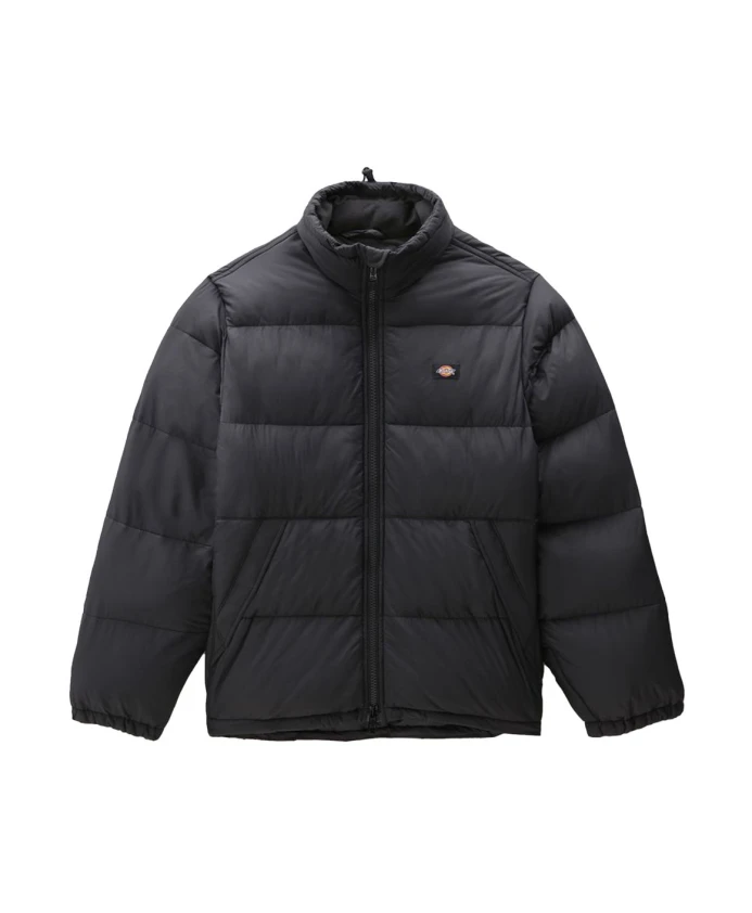 

Стильная куртка для мужчин. Dickies, черный