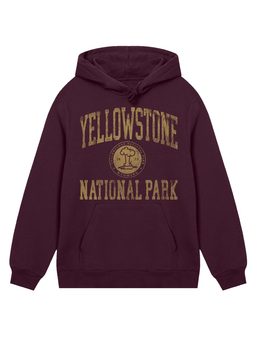 

Толстовка F4NT4STIC US National Parks Yellowstone Wyoming, коричневый