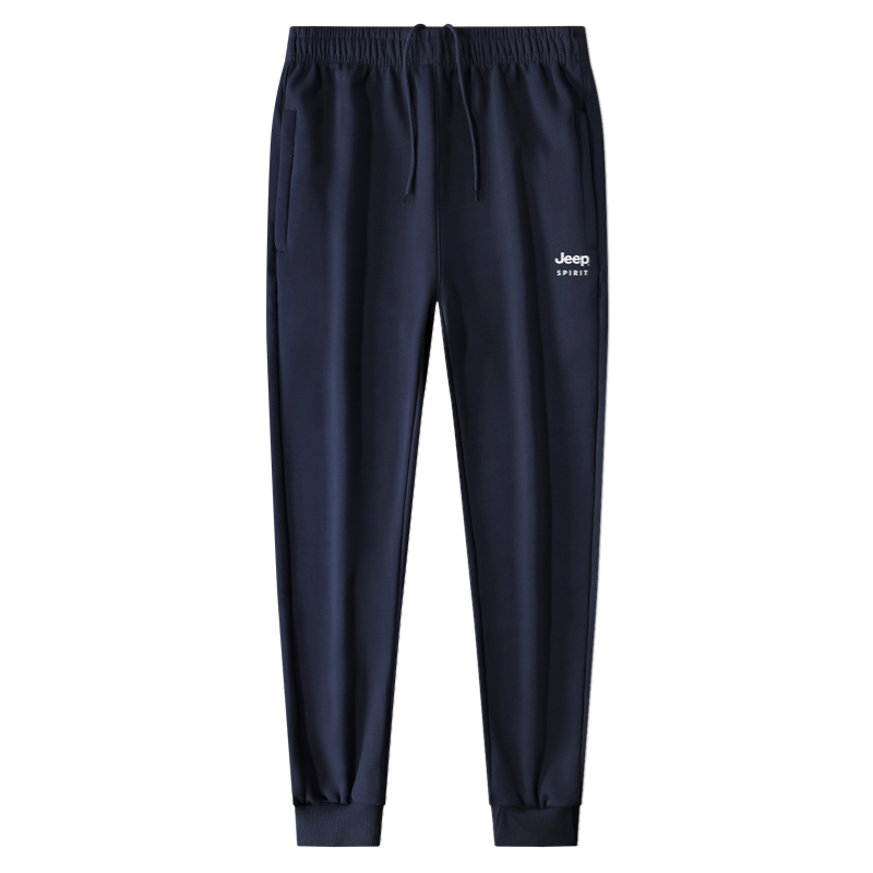 

Повседневные брюки мужские JEEP SPIRIT, темно-синий
