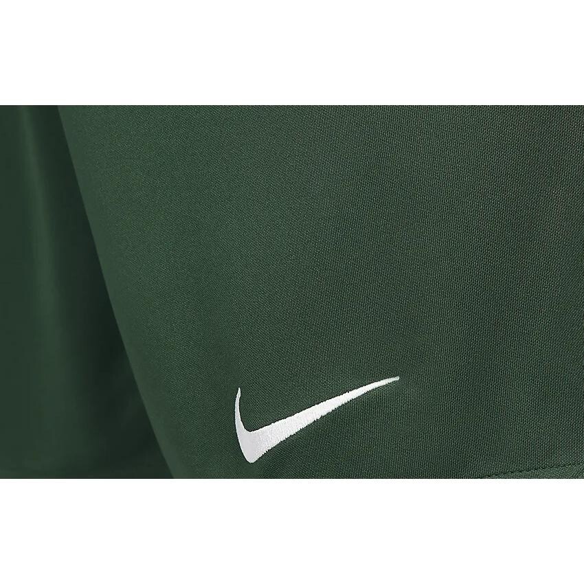 Повседневные шорты Dri-Fit для мужчин, зеленые Nike, зеленый — фото 4