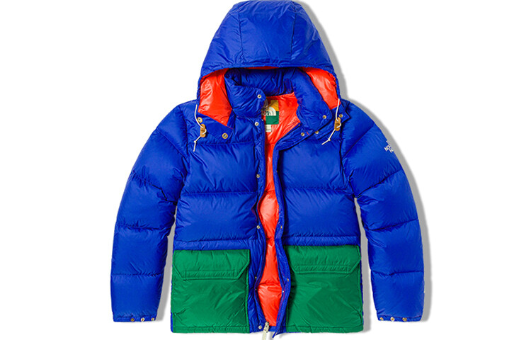 

THE NORTH FACE Мужской пуховик, Синий