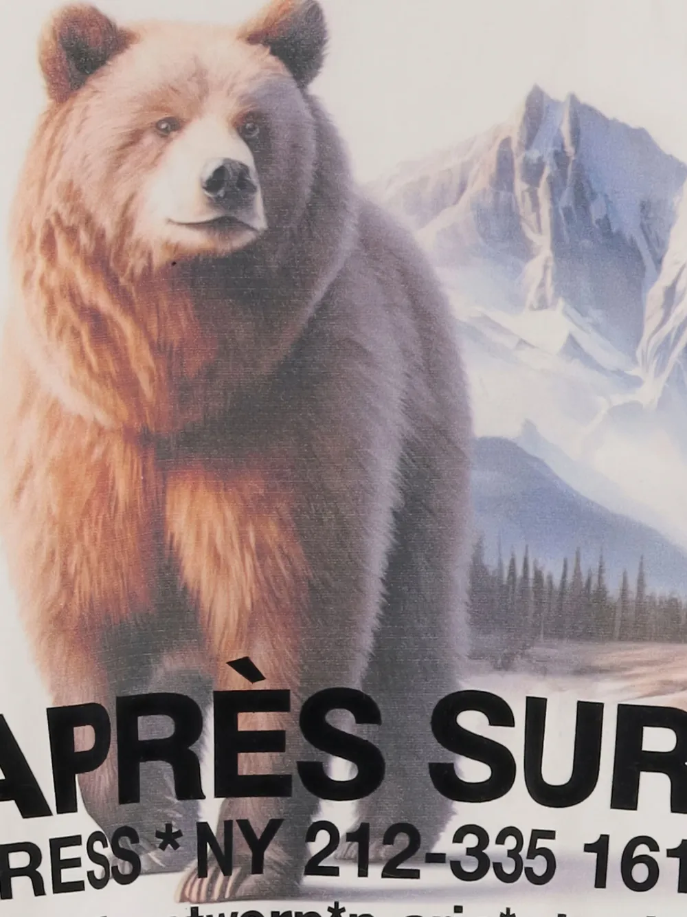 

Футболка с принтом медведя APRES SURF, белый