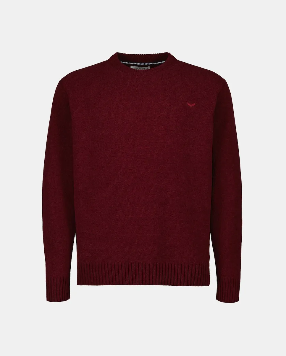 

Мужской джемпер из однотонного плюшевого трикотажа с логотипом Green Coast, бордовый