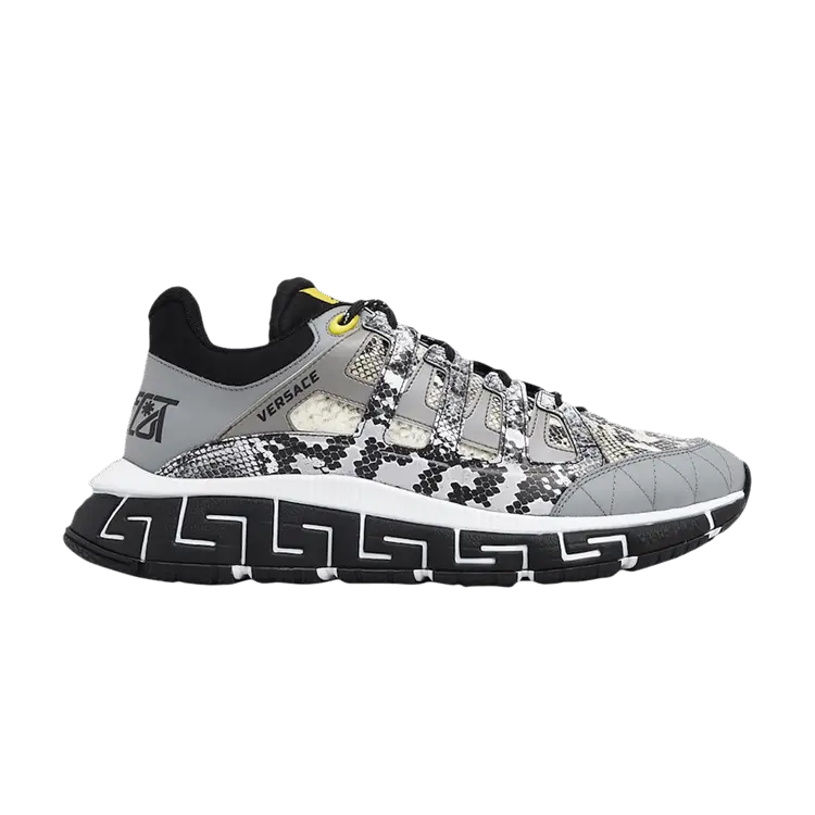 

Кроссовки Versace Versace Trigreca 'Grey Snakeskin', серый