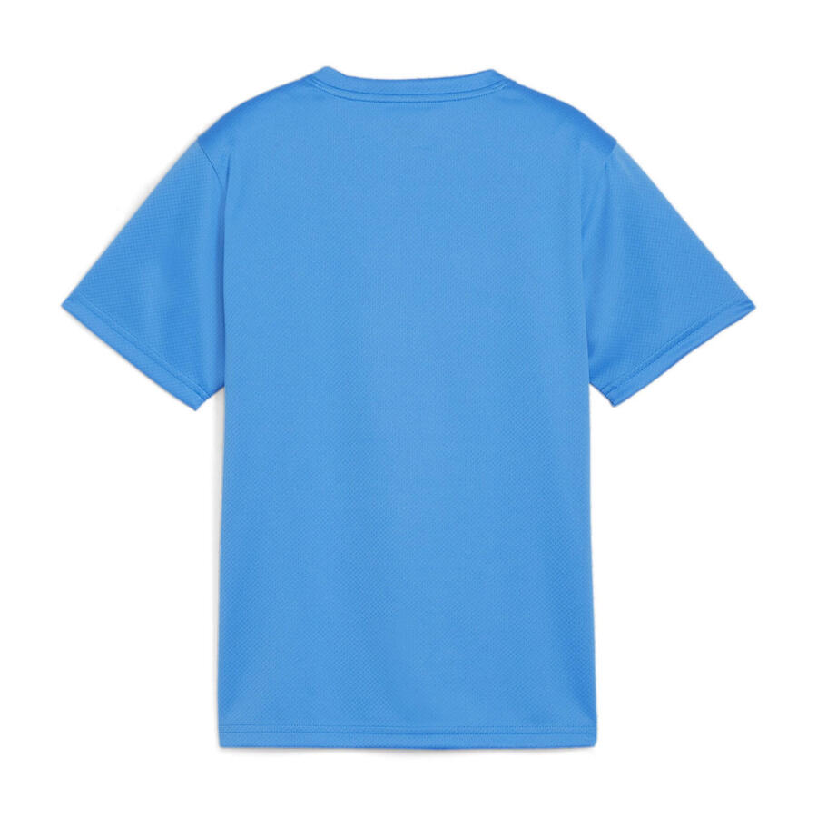 Детская футболка Puma teamGOAL Jersey Jr 658637 — фото 2
