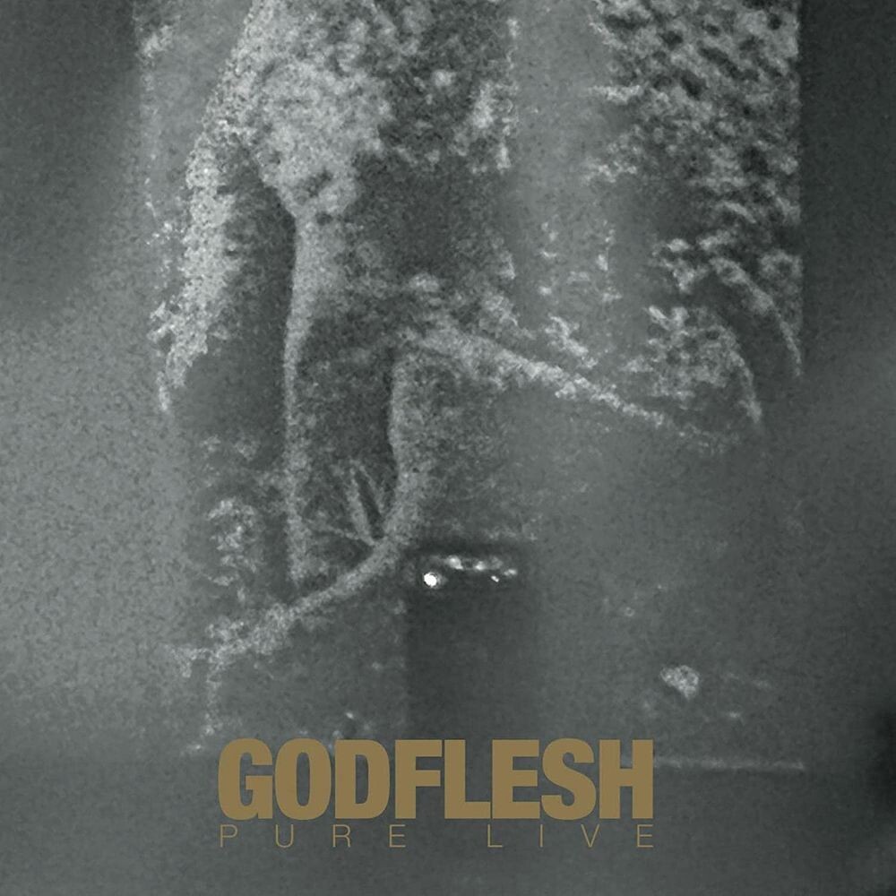 

Виниловая пластинка LP Pure Live - Godflesh