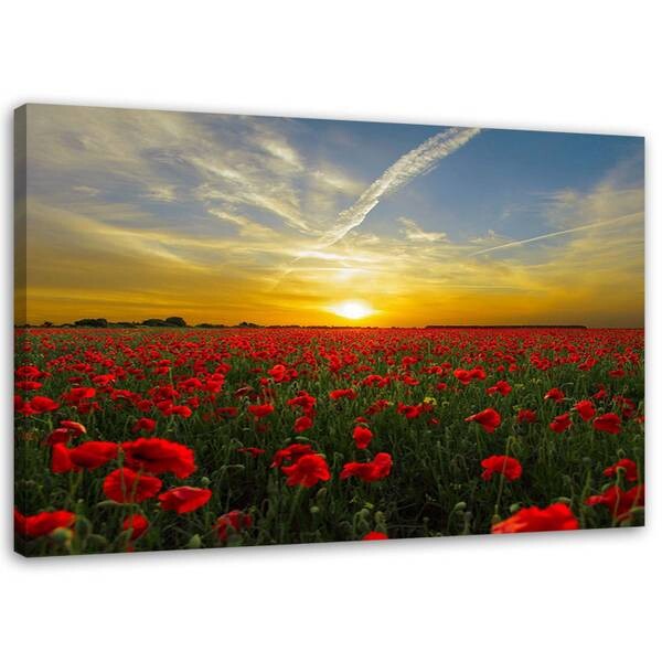 

Картина Feeby Rote Mohnblumen bei Sonnenuntergang, красочный