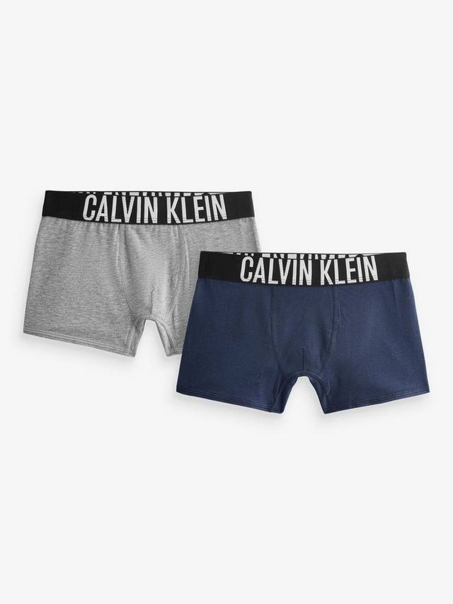

Детские трусы INTENSE POWER из хлопка Calvin Klein, Pack of 2, Grey Heather/Iris
