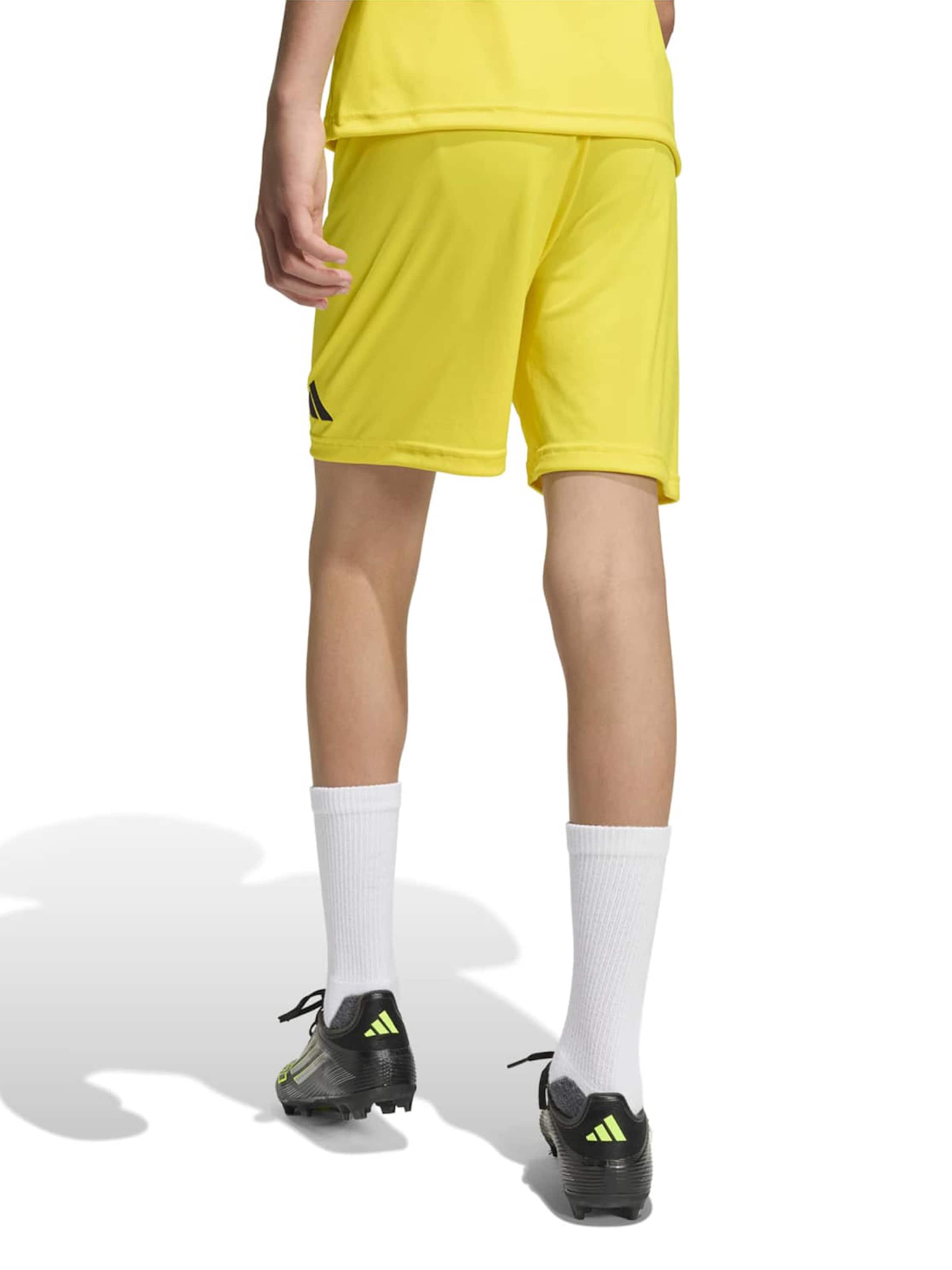 Adidas Performance Спортивные брюки Regular 'ENT26' в светло-желтом цвете — фото 3