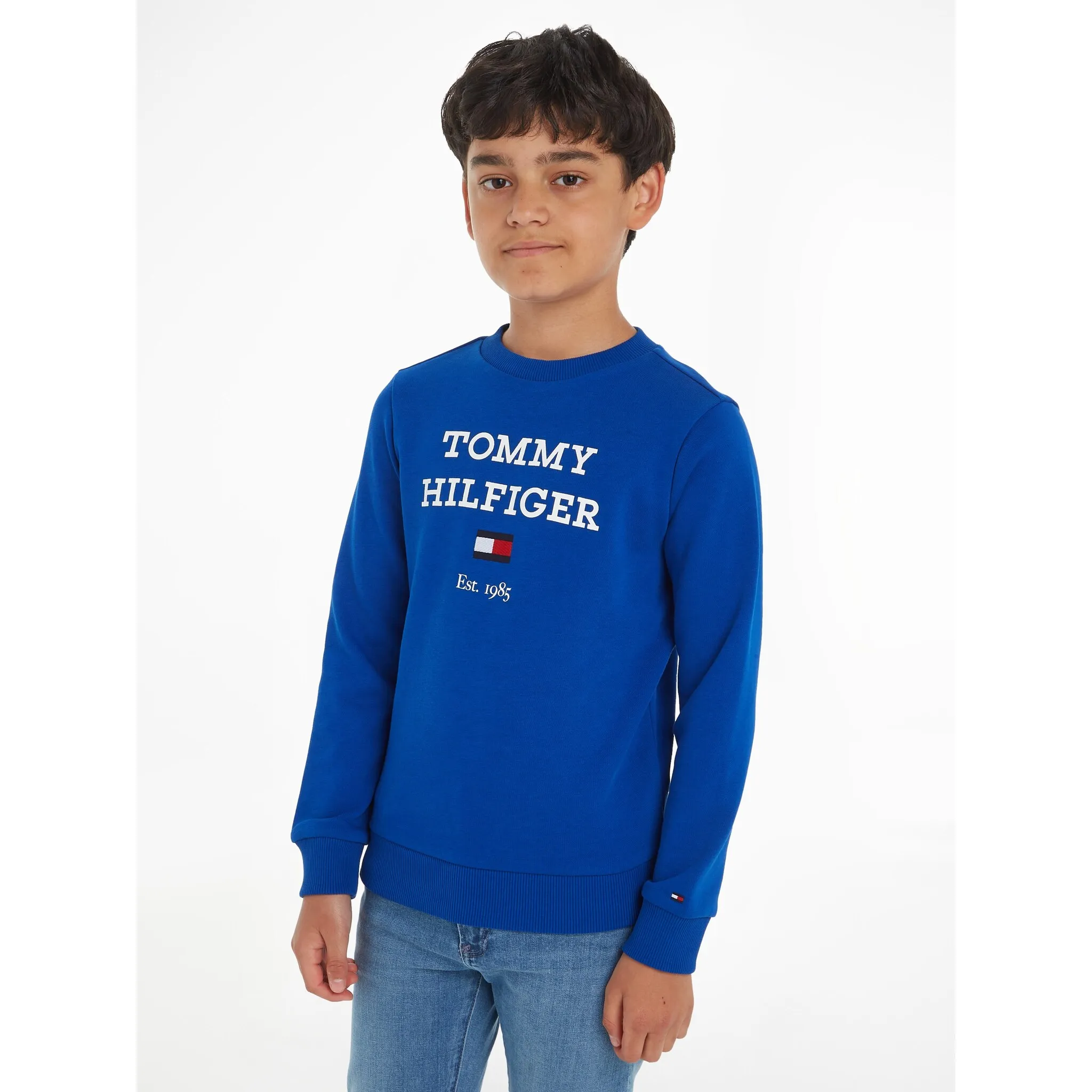 

Толстовка Tommy Hilfiger «TH LOGO SWEATSHIRT», с большим логотипом, цвет ultra blue