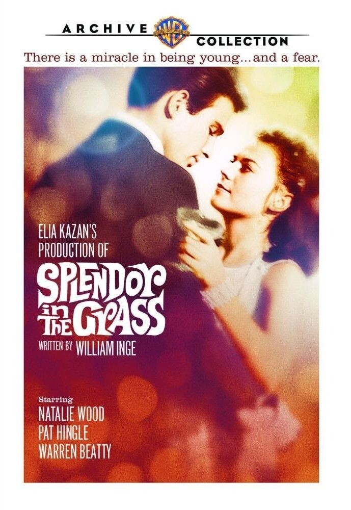 

Диск DVD Splendor In The Grass