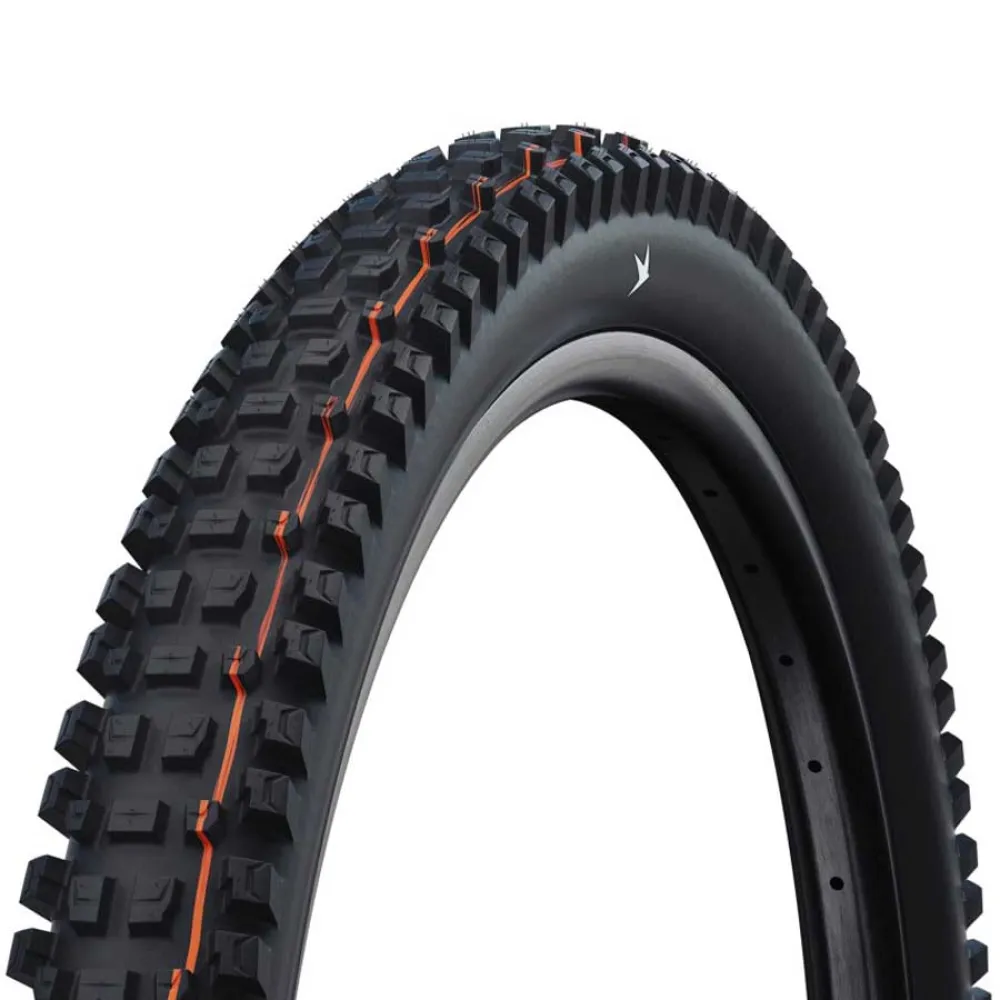 

Шина для горного велосипеда Schwalbe Albert Gravity Pro Evo UltraSoft E-50 Tubeless 29´´ x 2.60, черный